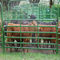 لوحات الأغنام المحمولة / ألواح السياج ماشية الصلب جولة ألواح السياج القلم كورال